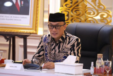 Kepala BKN Tegas Sikapi Pemda Rumahkan Honorer Tak Lulus PPPK Tahap 1