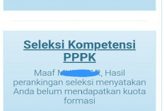 Lah Kog Bisa, Akun SSCASN Berubah Menjadi Tanda PPPK Paruh Waktu 