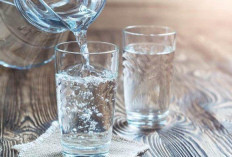 Mulai Hari dengan Sehat dan Segar, Ini Manfaat Rutin Minum Air Hangat Saat Bangun Tidur   