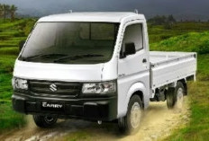 Sang Legenda Niaga: Suzuki Carry, Pilihan Andal Pebisnis 