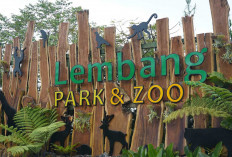 Lembang Park & Zoo: Destinasi Wisata Favorit Keluarga di Bandung