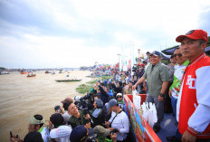 Ribuan Warga Padati Sungai Musi, Festival Perahu Bidar Tradisional 2025 Berlangsung Meriah