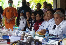 BNN Bongkar Clandestine Laboratory Narkotika Golangan 1 Jenis DMT 