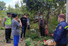 Warga Sekarjaya Geger Penemuan Mayat Pensiunan PNS di Bawah Pohon Nangka