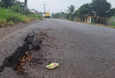 Box Culvert Rusak, Jalan Talang Siku Sungai Lilin Terancam Ambrol