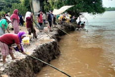 Debit Air Sungai Musi Menurun, Warga Ramai – Ramai Menyambut Fenomena ‘Ikan Mudik’