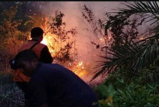 Heboh, Lahan 10 Hektar Milik Perusahaan Perkebunan di Muba Terbakar, Tim Pemadam Langsung Turun 