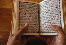 7 Surah Al-Qur'an yang Bagus Dibaca Setelah Shalat Subuh untuk Mendapatkan Berkah dan Perlindungan