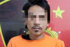 Satgas Keamanan PT Pinago Utama Amankan Pria yang Diduga Mencuri Buah Sawit 