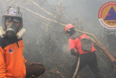 Muara Medak Bayung Lencir Kembali Terbakar, Terpantau 2 Titik Hotspot, Kerahkan Water Boombing 