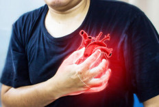 Jantung Sehat, Hidup Berkualitas! Inilah 5 Cara Mudah Meningkatkan Kesehatan Jantung Anda