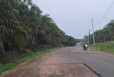 Tak Kunjung Ditutup, Tambal Sulam di Jalan Sungai Lilin - Keluang Dikeluhkan Pengguna Jalan