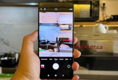 POCO M6 Pro: Raja Performa di Kelas Rp2 Jutaan yang Siap Taklukkan Gaming dan Multitasking