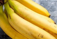 Manisnya Pisang Ambon, Sehatnya Tubuh Kita