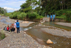 Dam Irigasi Rusak, Petani Harapkan Adanya Perbaikan 