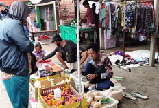 Hujan, Peternak Ayam Menjadi Khawatir, Anakan Ayam Rentan Mati 