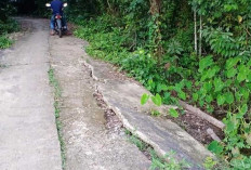 Kondisi Jalan Menuju Sawah Rusak, Petani di Ngulak I Muba Berharap Adanya Perbaikan 