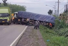 Kemacetan Panjang Terjadi di Jalintim Palembang-Betung, Penyebab Truk Trailer Terperosok Rem Hilang Angin