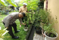 Dukung Program Ketahanan Pangan dengan Cara Kontrol Pekarangan 