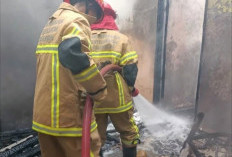 Korsleting Listrik Lenyapkan Satu Rumah di Talang Kelapa Palembang, Kerugian Capai Ratusan Juta