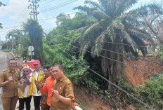 Erosi Ancam Jembatan Air Beliti, Lintas Sumatera Diterapkan Buka Tutup Jalan
