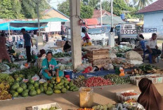 Tidak Mengalami Perubahan Harga, Penjualan Buah – Buahan Masih Stabil 