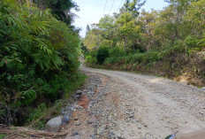 Jalan Simpang Karang Endah–Tunggul Bute Rusak Parah, Warga Keluhkan Rawan Kecelakaan
