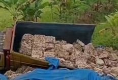 Truk Alami Tabrak Rumah Warga di Jalintim OKI 