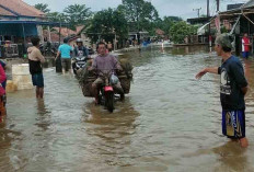 Meski Banjir Sudah Surut 5 Centimeter, Namun Warga Masih Was-Was 