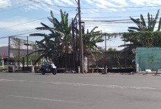 Digusur Satpol PP, Pedagang di Depan Disdukcapil Lubuk Linggau Minta Tempat Berjualan