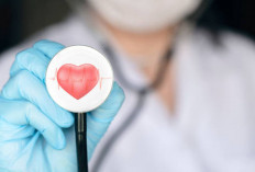 Jantung Sehat, Hidup Berkualitas! 5 Cara Mudah Meningkatkan Kesehatan Jantung Anda