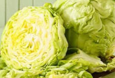 Kubis, Si Murah Meriah dengan Segudang Manfaat: Kekuatan Tersembunyi di Balik Sayuran Sederhana