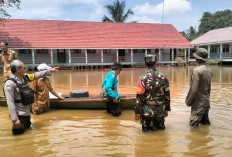 Sudah Sepekan Desa Ulak Embacang Terendam Banjir, Tim Gabungan Cek Ketinggian Air 