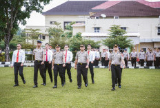 Apresiasi Kinerja Luar Biasa: 33 Personel Polres Muba Terima Penghargaan Kapolda Sumsel