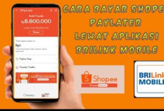 Bayar Shope Pay Later lewat Brilink Biayanya Terjangkau bisa Dimana Saja