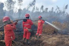 Waduh, 48 Fire Spot Karhutla Terus Meningkat di OKI