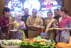 Kekerasan Perempuan dan Anak Persoalan Serius, Pemprov Sumsel Dorong Kolaborasi Lintas Sektor