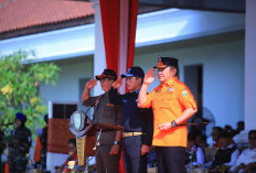 Upaya Sumsel Tekan Karhutla 2025 Dipuji Menteri LHK: Komitmen Kuat Berbuah Hasil