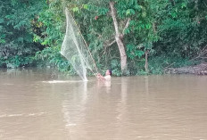 Berkah Air Sungai Musi Naik di Muba, Warga Ramai-Ramai Tangkap Ikan ‘Mudik’ 