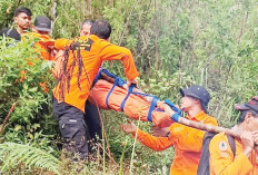 Tragedi Tahun Baru di Gunung Dempo, Pendaki Bengkulu Tewas Akibat Hipotermia  