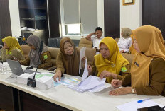  Dinkes Muba Lakukan Audit Arsip dan Evaluasi Aplikasi Srikandi