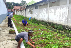 Lapas Sekayu Lakukan Penanaman Bibit Terong, Dukung Ketahanan Pangan