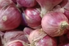 Bawang Merah: Tiga Manfaat Utama untuk Kesehatan yang Tak Banyak Diketahui