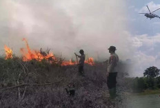 Ancaman Karhutla Semakin Luas, BNPB Tambah Satu Helikopter Water Bombing 