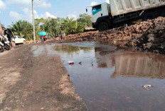 Diduga Limbah Tambang Batubara Cemari Jalan dan Kebun, Petani Mengeluh 