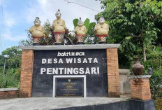 Desa Wisata Pentingsari, Laboratorium Hidup Budaya Jawa di Lereng Merapi