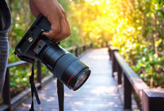 Jangan Khawatir! Ini, 10 Tips Memilih Kamera DSLR Terbaik untuk Kebutuhanmu