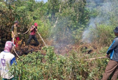 Firespot Terpantau di Jejawi OKI, Tim Karhutla Langsung Bergerak 