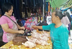 Pasca Lebaran Emak-Emak Pusing dengan Harga Daging Ayam Potong, Tak Kunjung Menurun 