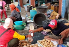 Penjualan Sawo Mateng Meningkat di Muba, Sehari Bisa Dapatkan Omset Ratusan Ribu 